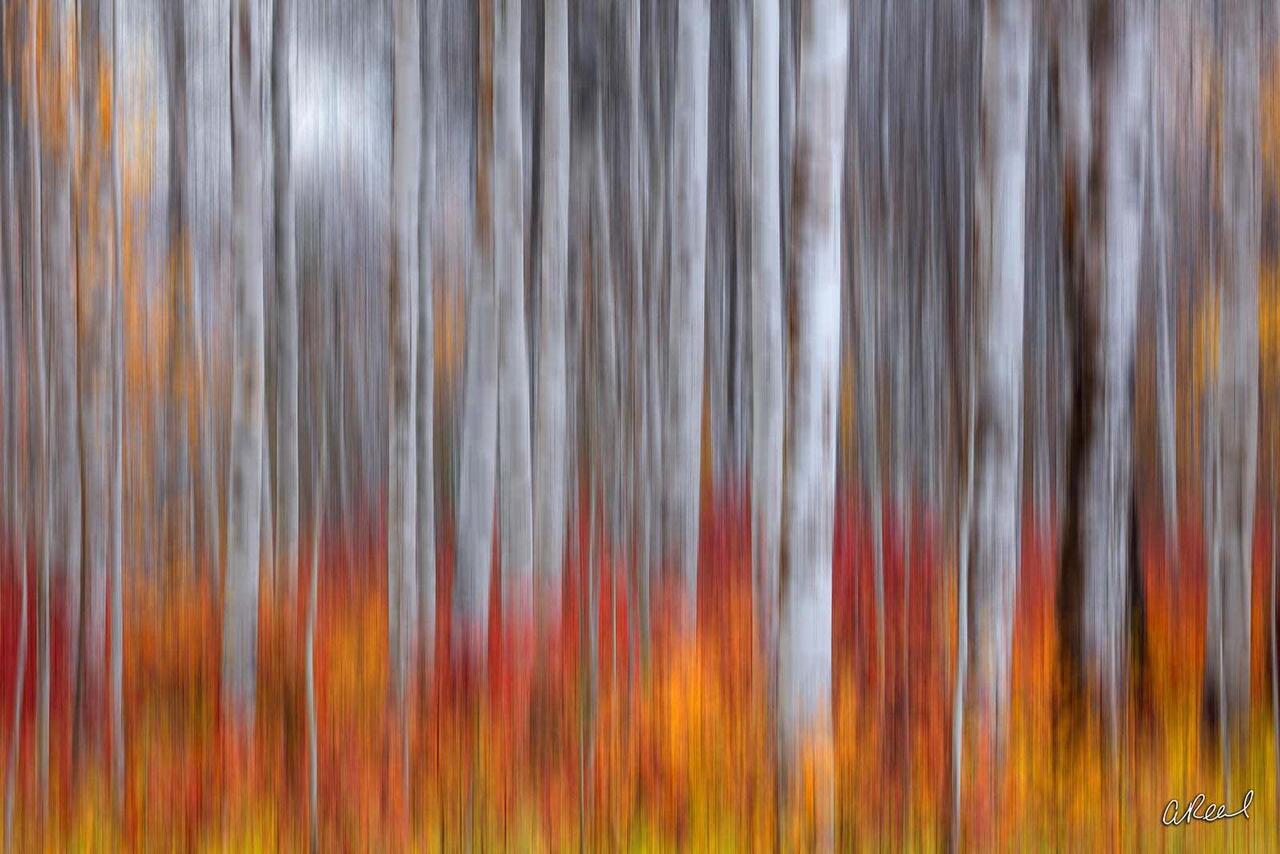 Brushed Abstract Photography Gallery Aaron Reed   Brushed 1800 